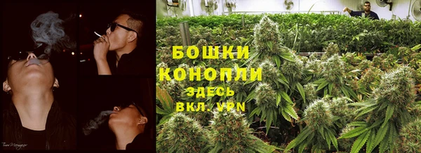прущие грибы Арсеньев