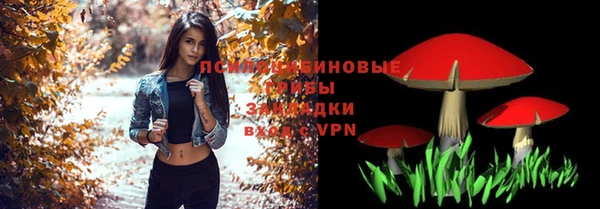 прущие грибы Арсеньев