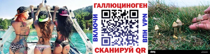 Галлюциногенные грибы Psilocybe Свирск